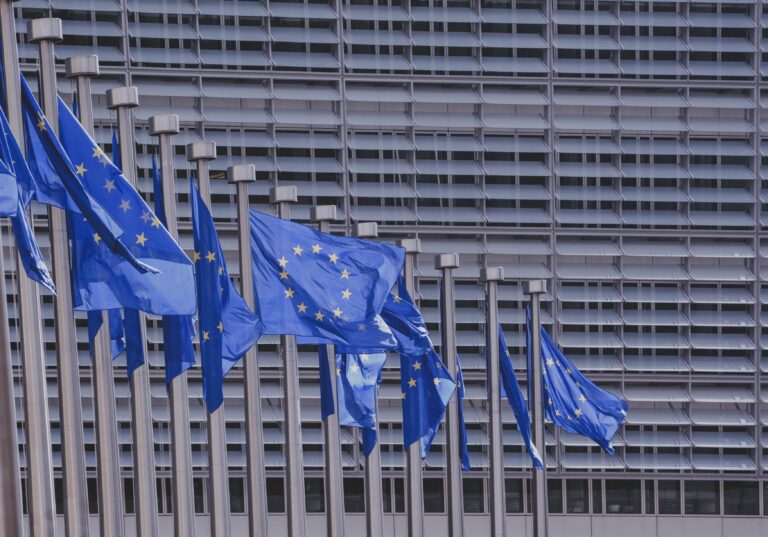 Una risposta europea alle FIMI: breve analisi dall’ultimo report SEAE